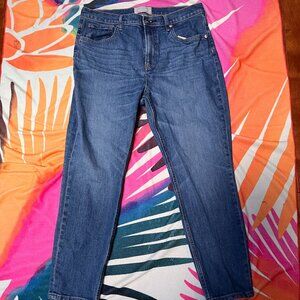 Everlane Women's Straight Leg Jeans - Blue